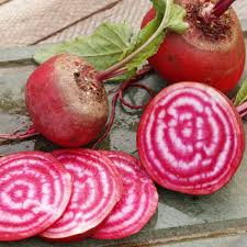 Red Chioggia Beet Seeds for Home Gardening
