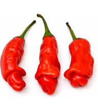Hot Peter Pepper Vegetable Seeds for Garden Planting