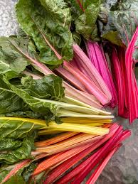 Rainbow Swiss Chard Seeds for Planting