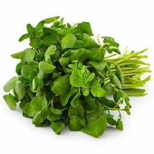 Papalo Porophyllum Ruderale Herb Seeds for Spring and Summer Planting