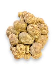 Truffle Vegetable Seeds for Easy Planting