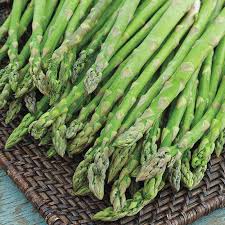 Asparagus Seeds for Planting - Premium Vegetable Garden Seeds