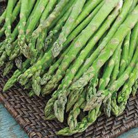 Asparagus Seeds for Planting - Premium Vegetable Garden Seeds