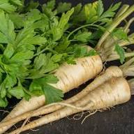 Hamburg Parsley Vegetable Seeds for Easy Planting