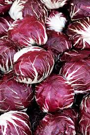 Red & White Radicchio Vegetable Seeds for Planting