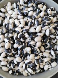 Black White Orka Beans  Planting Seeds for Your Vegetable Garden