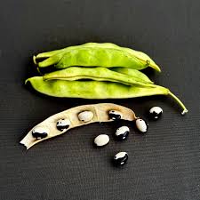 Black & White Troot Bean Vegetable Planting Seeds