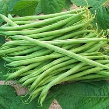 White Bean Planting Seeds for Your Garden