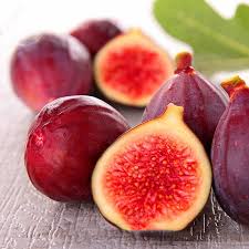 Red Fig Tree Seeds for Planting  Seed for Lush, Sweet Harvests in Gardens and Backyards