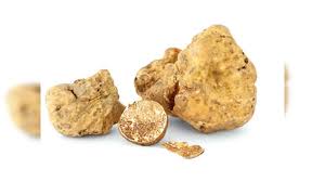 Truffle Vegetable Seeds for Easy Planting