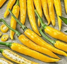 Yellow Bedder Pepper Planting Seeds