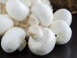 Mushroom Vegetable Seeds for Planting