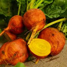 Orange Beet Seeds for Vegetable Planting