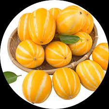 Gold Neungju Vegetable Seeds for Planting