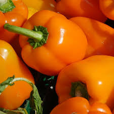 Orange Bell Pepper Vegetable Seeds for Planting - Year-Round Growth