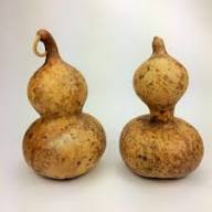 Brown Gourd Vegetable Seeds for Easy Planting
