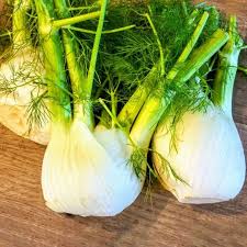 White Fennel Seeds for Planting