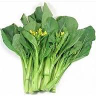 Choy Sum Vegetable Seeds for Quick and Easy Growth