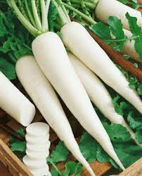 Minowase Vegetable Seeds for Planting