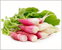 Radish Seeds for Planting - Vegetable Seeds