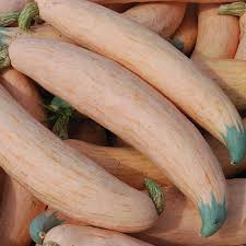 Georgia Candy Roaster Vegetable Seeds for Planting