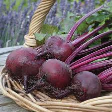 Red Beetroot Seeds for Planting - Grow Delicious Vegetables
