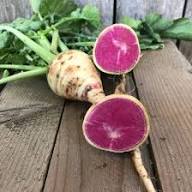 Watermelon Radish Vegetable Seeds for Planting