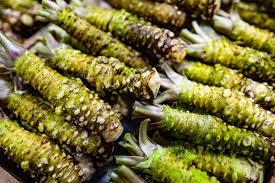 Wasabi Vegetable Seeds for Planting
