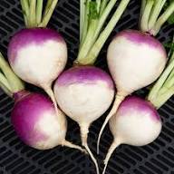 Turnip Plant Seeds for Thriving Vegetable Gardens  Perfect for Planting