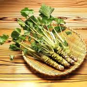 Green Horseradish Vegetable Seeds for Planting