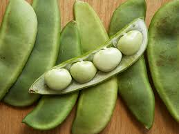 Grow Delicious Lima Beans | Easy Planting Seeds for Your Garden