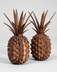 Brown Pineapple Seeds for Planting  Grow Your Own Fruit