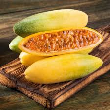 Orange Banana Passion Fruit Seeds for Planting  Tropical Garden Delight