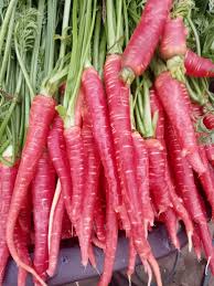 Pink Radish Planting Seeds for Vegetable Gardens