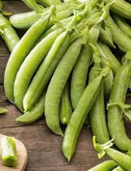Sugar Ann Snap Pea Planting Seeds