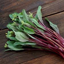 Purple Kosaitai Vegetable Seeds for Planting