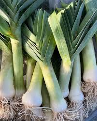 Green Saint Victor Vegetable Seeds for Planting