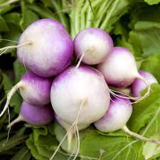 Rutabaga Seeds for Planting  Perfect for Your Vegetable Garden