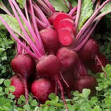 Red Beetroot Seeds - Perfect for Planting