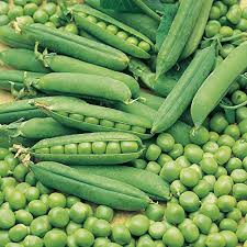 Green Pisum Vegetable Seeds for Planting