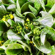 Yu Choy Vegetable Planting Seeds