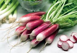 Rapid Yield Radish Seeds, Planting