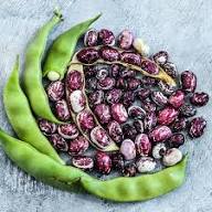 Purple White Stallard Vegetable Seeds for Planting