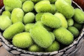 Green Wooly Bear Gourd Vegetable Planting Seeds
