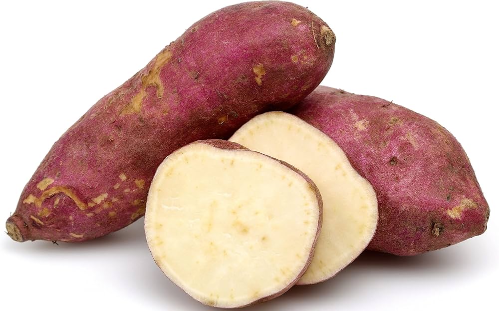 Ipomoea batatas Sweet Potato seeds for vegetable patches