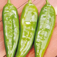 Italian Sweet Pepper seeds for home gardens