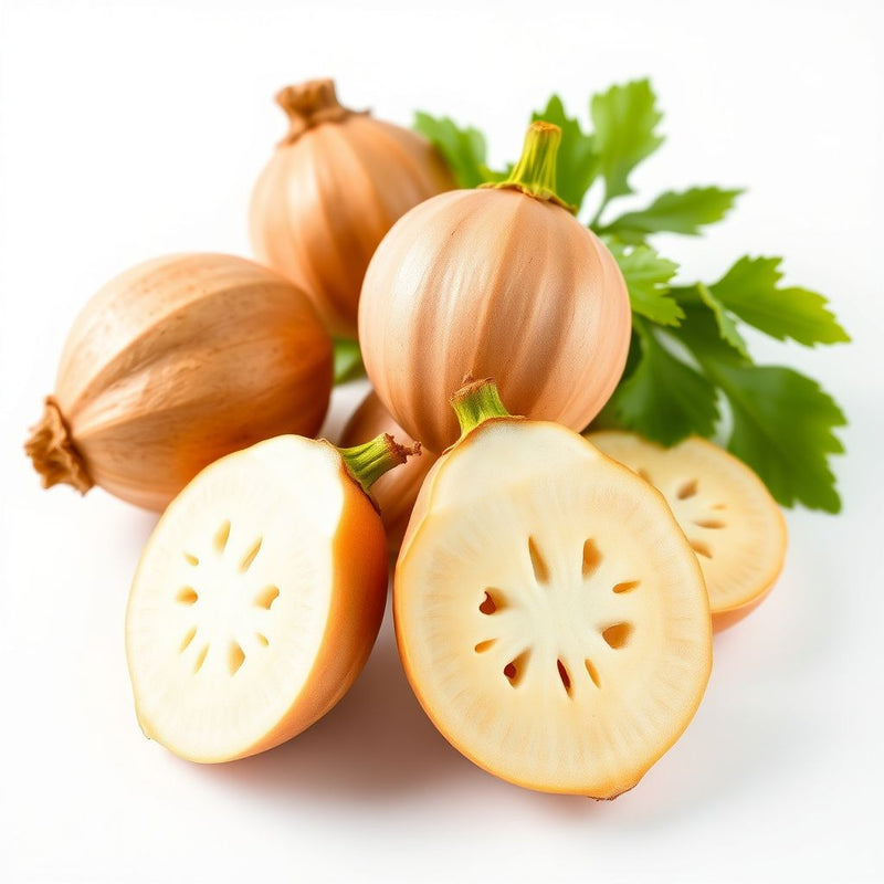 Jicama Vegetable Seeds for Planting