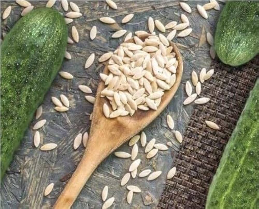 Long crisp cucumbers grown from KVARIT F1 cucumber seeds