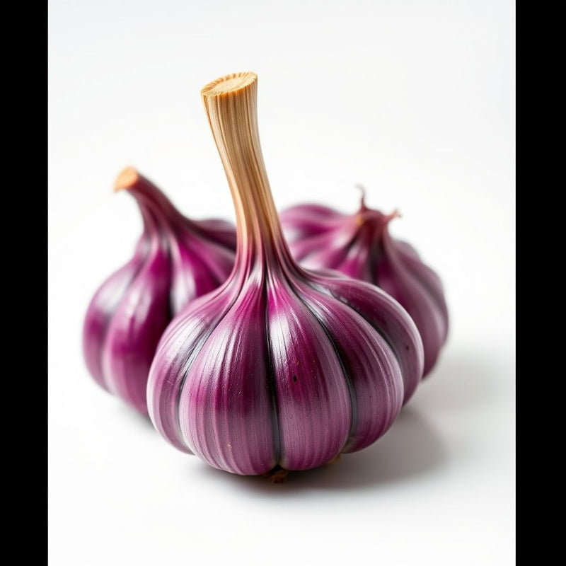 Purple Garlic Vegetable Seeds for Planting