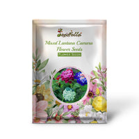 Lantana Camara Mixed Seeds For Planting